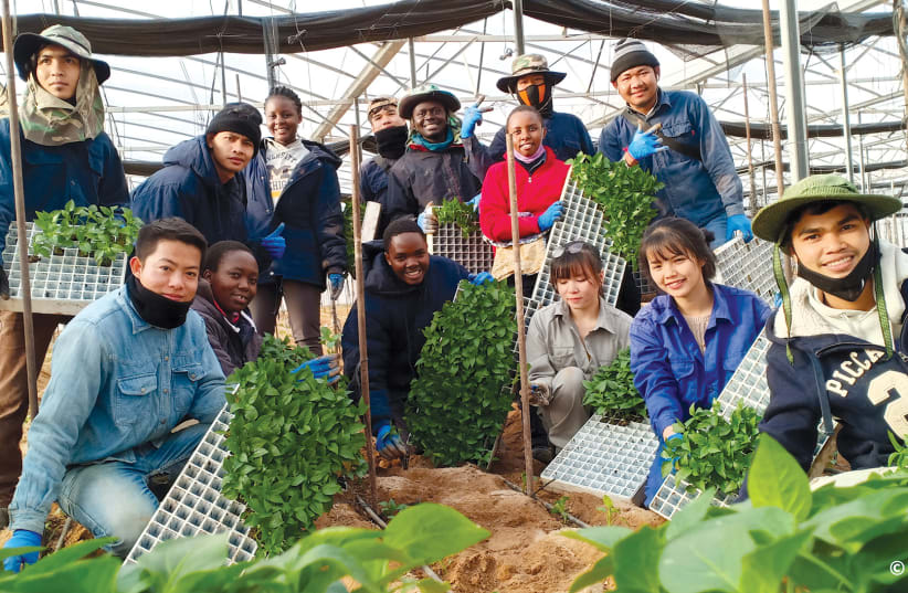  Algunos de los becarios del año pasado en el programa de 11 meses del Centro Internacional Arava de Capacitación Agrícola (AICAT). Unos 4.000 estudiantes de países en desarrollo de Asia y África participan anualmente en cinco programas en Israel. (photo credit: AICAT)