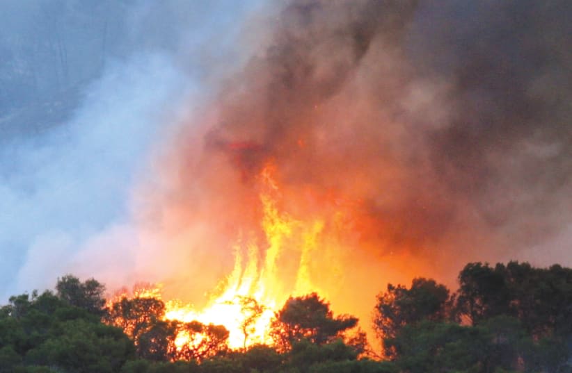  LA ÚLTIMA gran catástrofe natural a la que se enfrentó Israel fue el incendio del bosque del Carmelo en 2010, que se cobró 44 vidas, obligó a evacuar a unas 17.000 personas y provocó la quema de casi 25 km2, incluidos varios millones de árboles. (photo credit: RONI SCHUTZER/FLASH90)