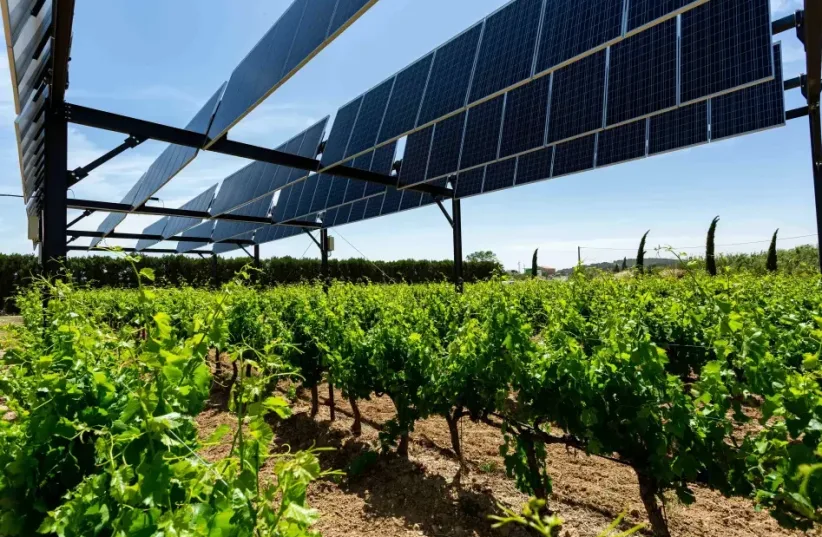  Agrovoltaic facility in the wine grape vineyard (photo credit: Sun Agri)