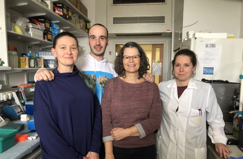 Equipo del laboratorio de la profesora Ayelet David (de derecha a izquierda): Marie Rütter, Yvonne Ventura, Nenad Milošević y Valeria Feinstein. (photo credit: Private album)