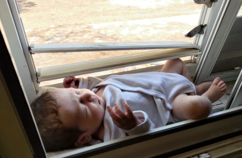  The baby on the windowsill (photo credit: DEBORAH MINTZ)