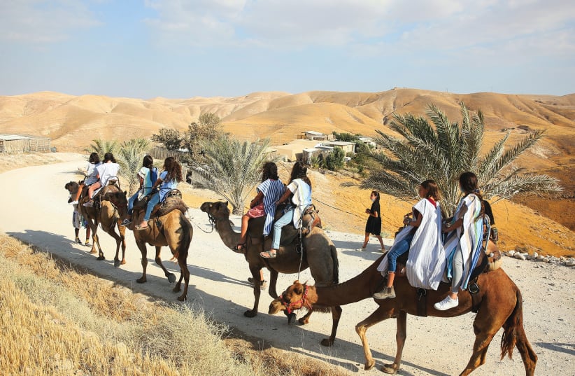  Explore the ancient history at Israel's Genesis Land. (photo credit: Genesis Land)