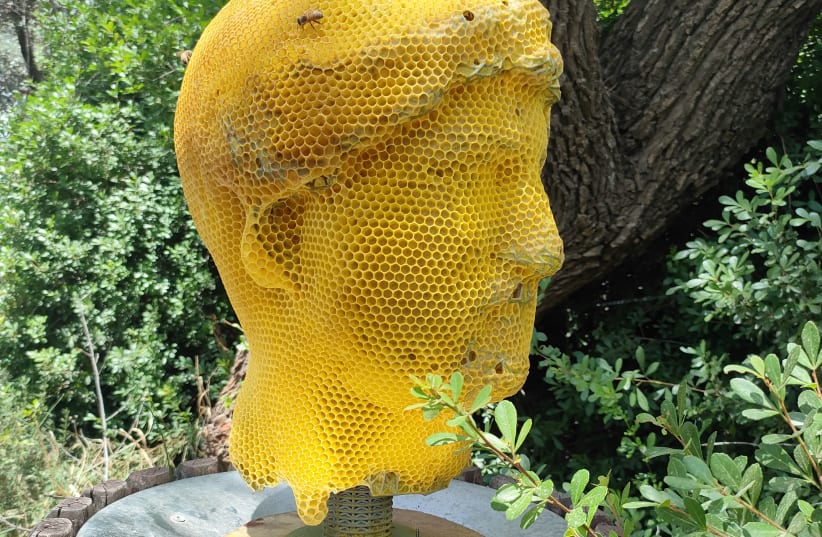  'Crafted by Bees' at Israel Museum garden. (photo credit: Israel Museum by Tomas Libertiny)