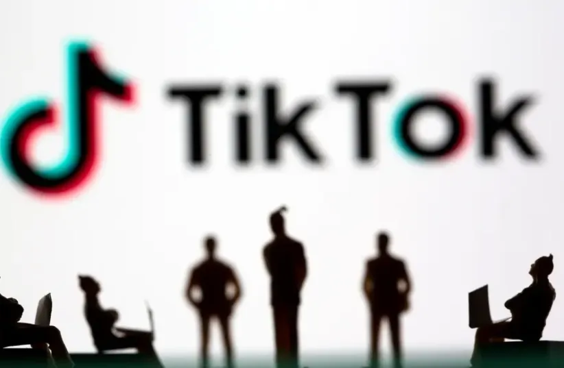  tiktok In Chinese society, they intend to fight (illustration)  (photo credit: REUTERS)