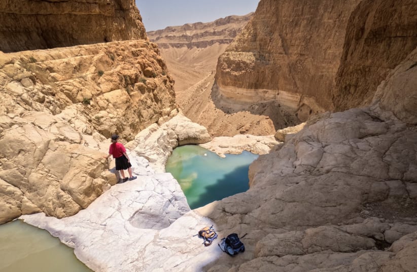  A POOL on the Nahal Darja trail in the Judean Desert near the Dead Sea.  (photo credit: SUSANNAH SCHILD)