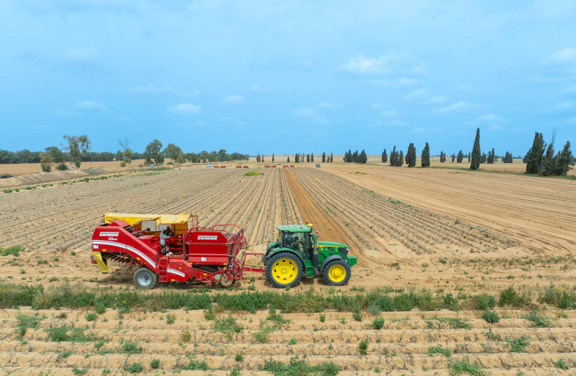 Farming under fire: Feeding Israel in crisis | Virtual Jerusalem