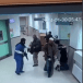  Israeli commandos, dressed as doctors, foil terror attack in Jenin hospital on January 30, 2024