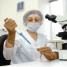  Laboratory in vitro fertilization. 