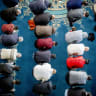 Muslim worshippers in Utrecht, Netherlands in 2024. The ambition of the Muslim Brotherhood is the imposition of Sharia on the free societies of the West. 