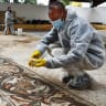 Man cleaning the Byzantine-era mosaic in Nahariya, taken in 2022; file photo.