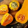 The pumpkin is much more than a beautiful orange addition to the plate