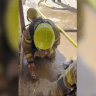 Israel Firefighters work to resuscitate kittens rescued from fire in Negev, June 3, 2026.