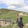 HERE IN Israel, wells and cisterns are everywhere – set into hillsides, hidden under fig trees, tucked behind stone walls in ancient agricultural terraces. Sometimes you can see them. More often you walk right past.