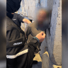 Israel Police arrest Bethlehem resident arrested on suspicion of stabbing and robbing a man in his Tel Aviv apartment over the weekend, June 7, 2026.
