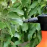 Pesticides