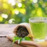 Green tea