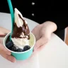 Frozen yogurt