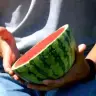 A Puma watermelon 