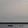 A group of migrants wade away after trying to board a crowded inflatable dinghy and leave the coast of northern France in an attempt to cross the English Channel to reach Britain, at the beach of Petit-Fort-Philippe in Gravelines, near Calais, France, May 23, 2026