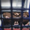 Nukhba Force terrorists who were captured alive on October 7 are seen in a prison in Israel in 2025. 