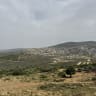 The rolling hills of the Western Galilee during Spring.