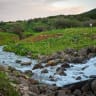 Water discharging from a desalination plant into the Zalmon River and into the Sea of Galilee, March 4, 2026.