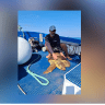 Sea turtle rescued from fishing lines off the coast of Caesarea.