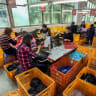 [Illustrative] This photo taken on March 9, 2017 shows a Chinese employee working at a shoe sole factory in Jinjiang, east China's Fujian province.