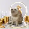 CASHCAT