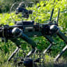 Robotican's hybrid Rooster drone and autonomous dog robot