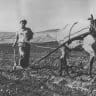 DEGANYA ALEF & BET: Plowing a field, 1945.
