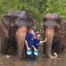 THE WRITER and his wife the elephants at the Family Friendly Farm in Chiang Mai.