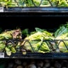 Lettuce is displayed for sale at an H-E-B grocery store on May 11, 2026 in Austin, Texas.