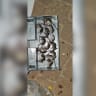 Rats caught in a trap 