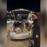 Israeli security forces rescue a donkey from the back of a private vehicle on July 21, 2026.