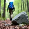 Forest therapy