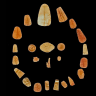 Collection of 24 gold teeth discovered by Egyptian archaeologists in the ancient city of f Marina El Alamin, August 4, 2026.