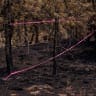 Pink tape surrounds an area near the starting point of the Old Trails Fire after authorities arrested a man accused of deliberately starting one of three fires, in Spokane, Washington, US, August 4, 2026.