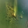 A drone view of the foundations of the ancient Constantine Bridge, commissioned by Roman emperor Constantine I and inaugurated in 328 CE, is seen in the Danube River near Gigen, Bulgaria, in this handout image released on August 6, 2026.