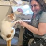 Cats are famously well-groomed, and Tziporanayim is just the place.