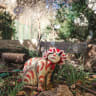 The HaMiffal yard offers a charming ambiance with a slew of intriguing artworks.