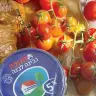 White cheese and tomatoes 