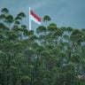 This picture taken on August 15, 2025 shows the Indonesian national flag fluttering behind trees in Ibu Kota Nusantara (IKN), the planned new capital of Indonesia, East Kalimantan; Illustrative.