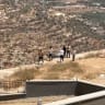 Israeli settlers gather outside a Palestinian home in Qusra, in the West Bank, August 15, 2026, in this screen grab obtained from a video.