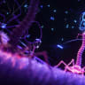 Bacteriophage (illustrative)