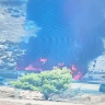 Screenshot from video of bus fire on Highway 1 between Jerusalem and Ma’aleh Adumim, August 17, 2026.