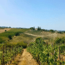 Lots of stops along the way just to say, “Wait, we have to take a picture of this.” Tuscany.