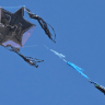 The kite, which crossed from Gaza to Israel, didn't carry any explosive devices.