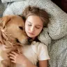 Nearly 90% of Israelis say their dog is a full-fledged member of the family.
