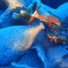 Amphorae from the late 5th and early 4th centuries BCE, discovered off the coast of the island of Andros, August 26, 2026.